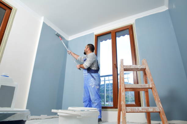 Best Mold Remediation for Healthcare Facilities  in Glencoe, IL