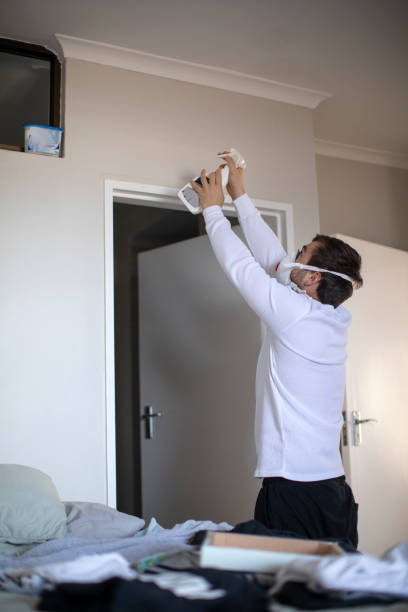 Best Commercial Mold Inspection  in Glencoe, IL